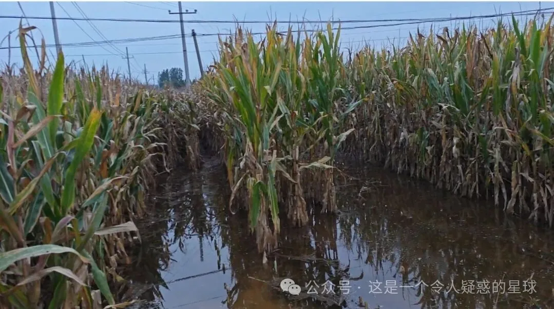 mkjf4ofe.png mkjf4ofe.png