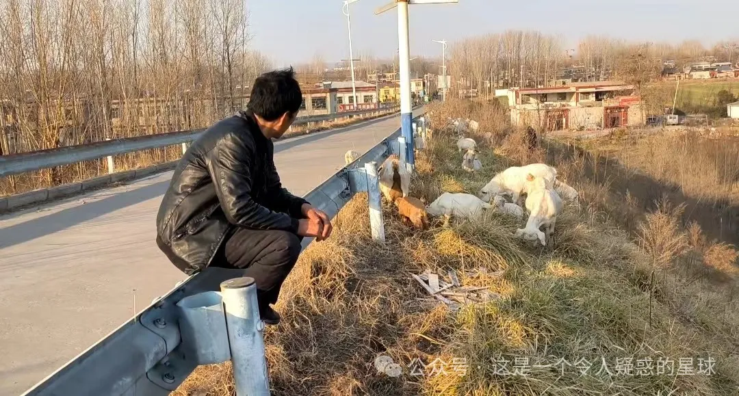 mkjf4iif.png mkjf4iif.png