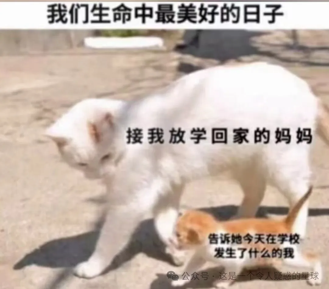 mkjfe5xt.png mkjfe5xt.png