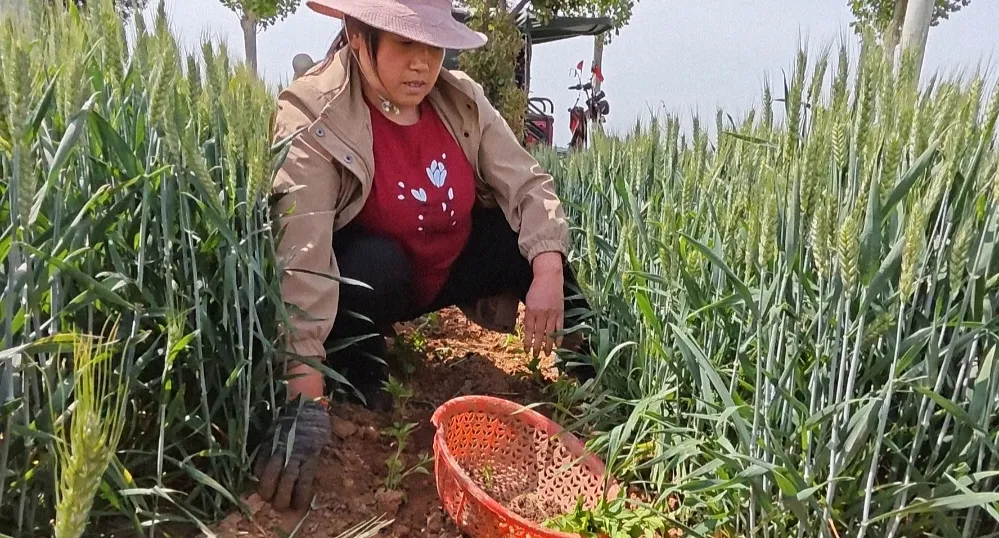 mkjf3r5e.png mkjf3r5e.png